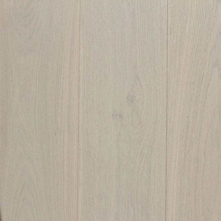 Order Samples
